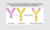 What is a chimeric antibody?