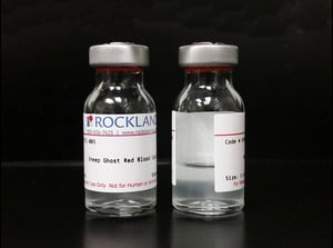 Geister-Rote-Blutzellen-Rockland