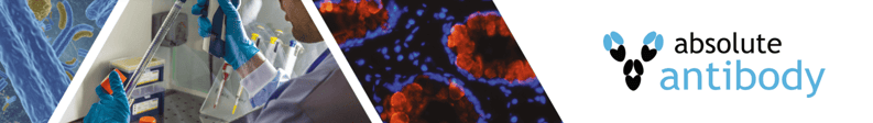 Abab-Banner