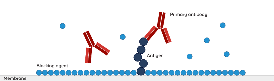 Blocking-Buffer-Principle