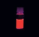 Bright-Dtech-614-–-Eu-(Red)