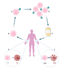 CAR-T-Immunostep