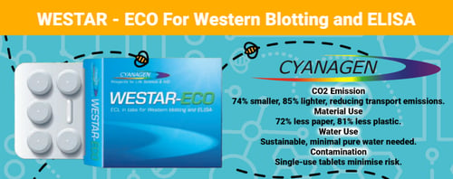 Cyanagen-Westar-(1)