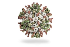 Dengue-Virus-12-M