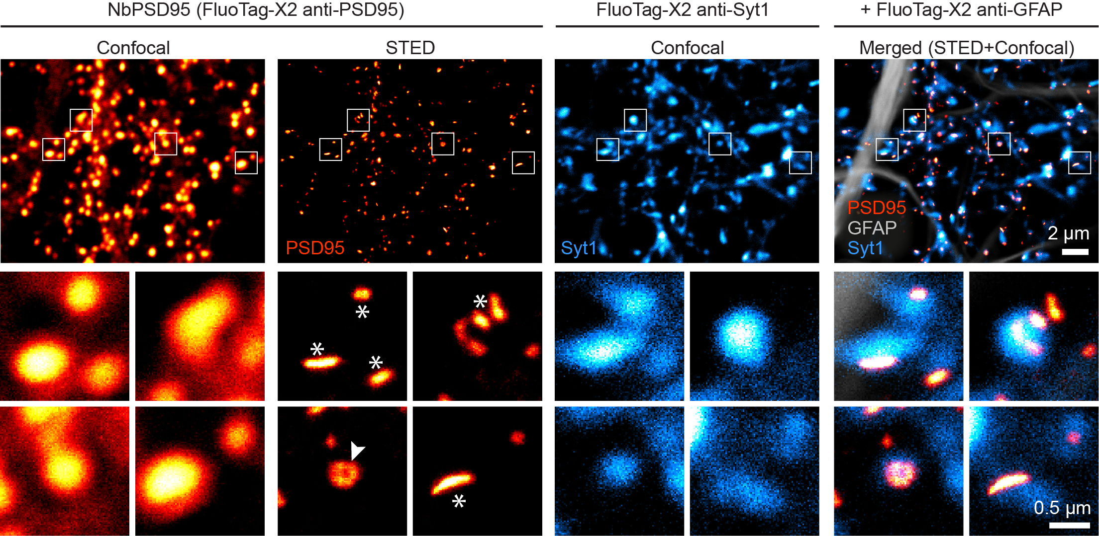 Fig4