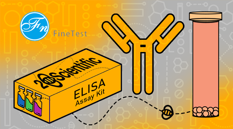 Fine-test-overview-1