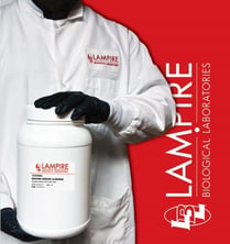 Lampire-basic-image