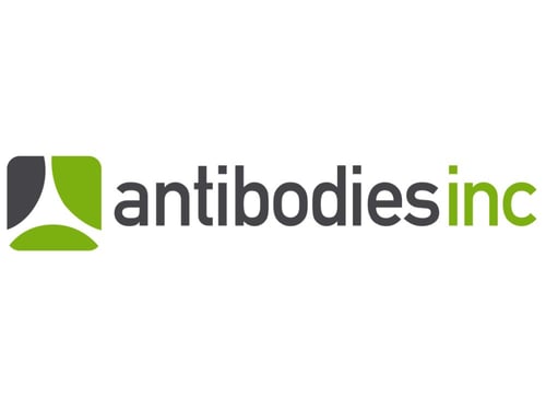 Logo-Antikörper-inc-4x3