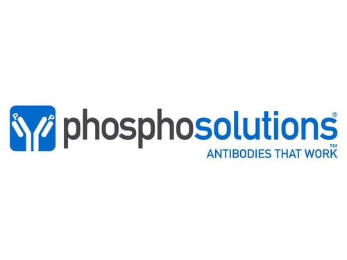 Logo-Phospholösungen-4x3