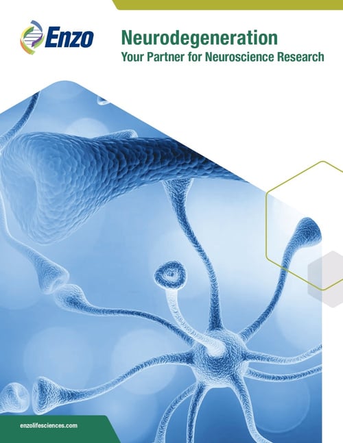 MB006-Neurowissenschaften-Rev102023_Seite-0001