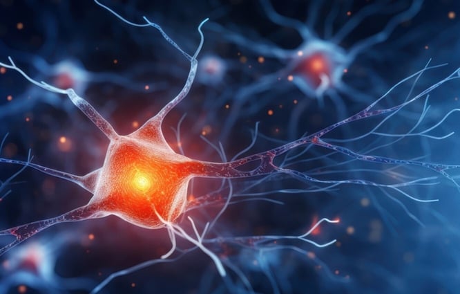 Neuron-stock-image