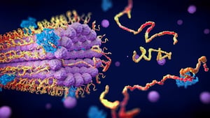 Protein – generisch – beschnitten