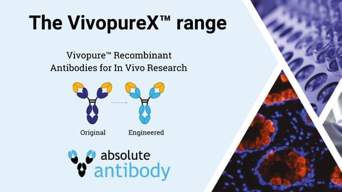 Die VivopureX-Produktreihe
