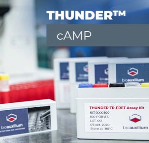 Thunder-cAmp