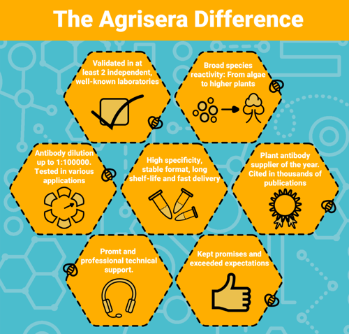 agrisera-2