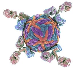 Dengue-NS1