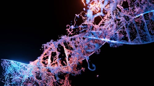 dna-2