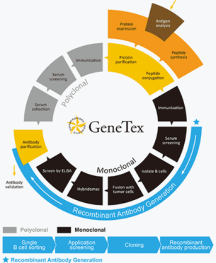 genetex-unternehmen-technologie-img1