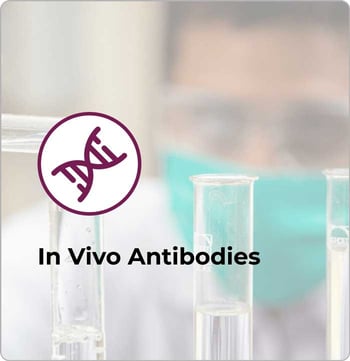 In-vivo-Antikörper