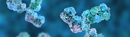 invivo-biotech-dienstleistungen-produkte-antikörper-kopfzeile