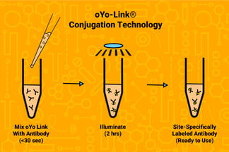 oYo-Link