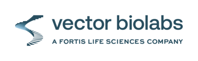 Vector Biolabs