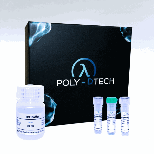 Poly-Dtech-NoW-Dtech