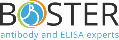 Boster Bio
