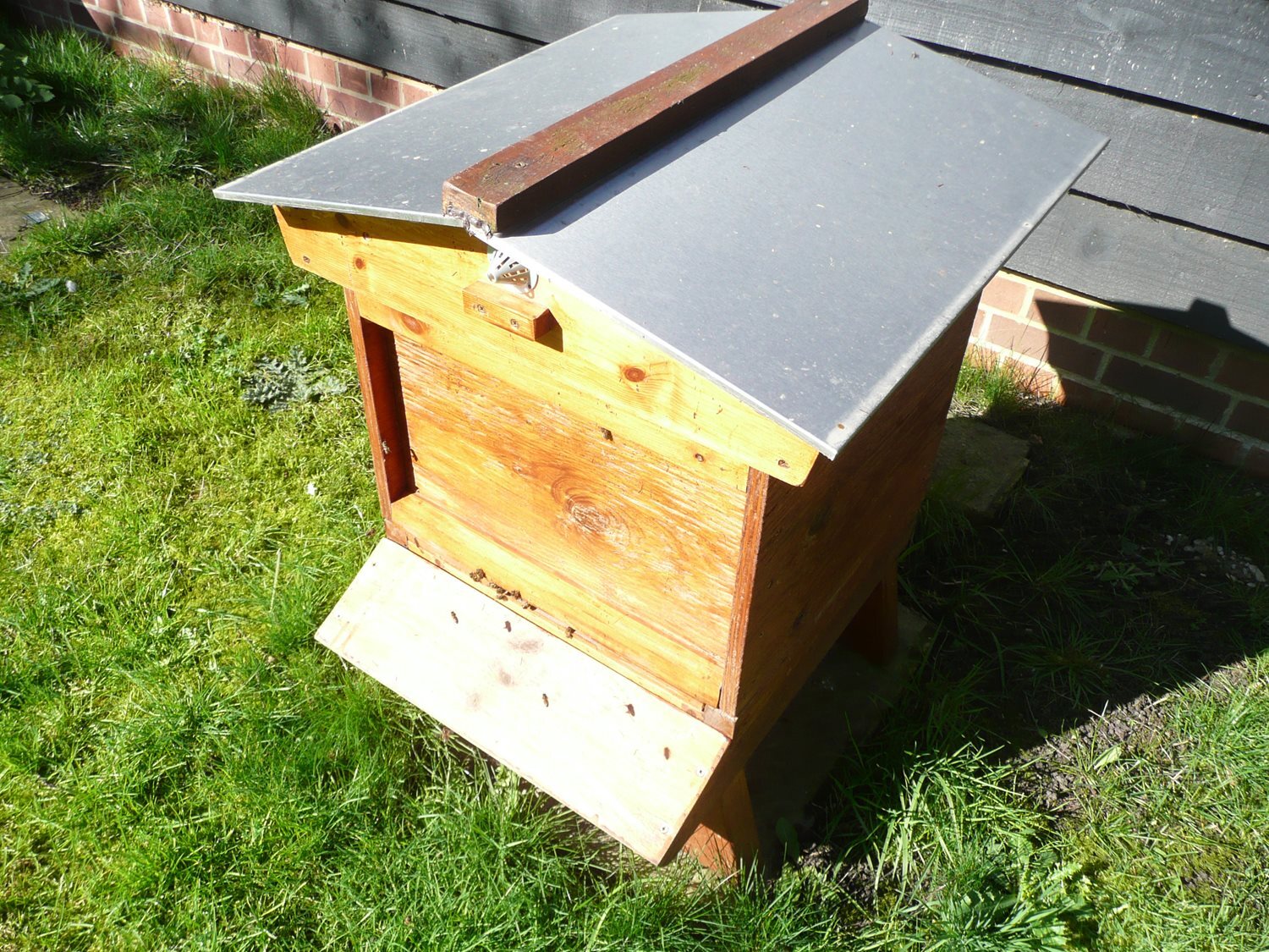 Bee Blog - April 2020