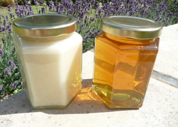 Bee Blog August 2017
