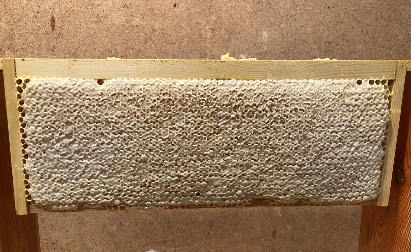 Bee Blog - September 2021