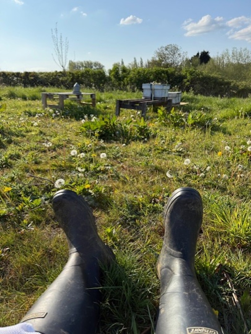 A Beekeepers Journey – ‘You Will Get Stung!’ – Part 6