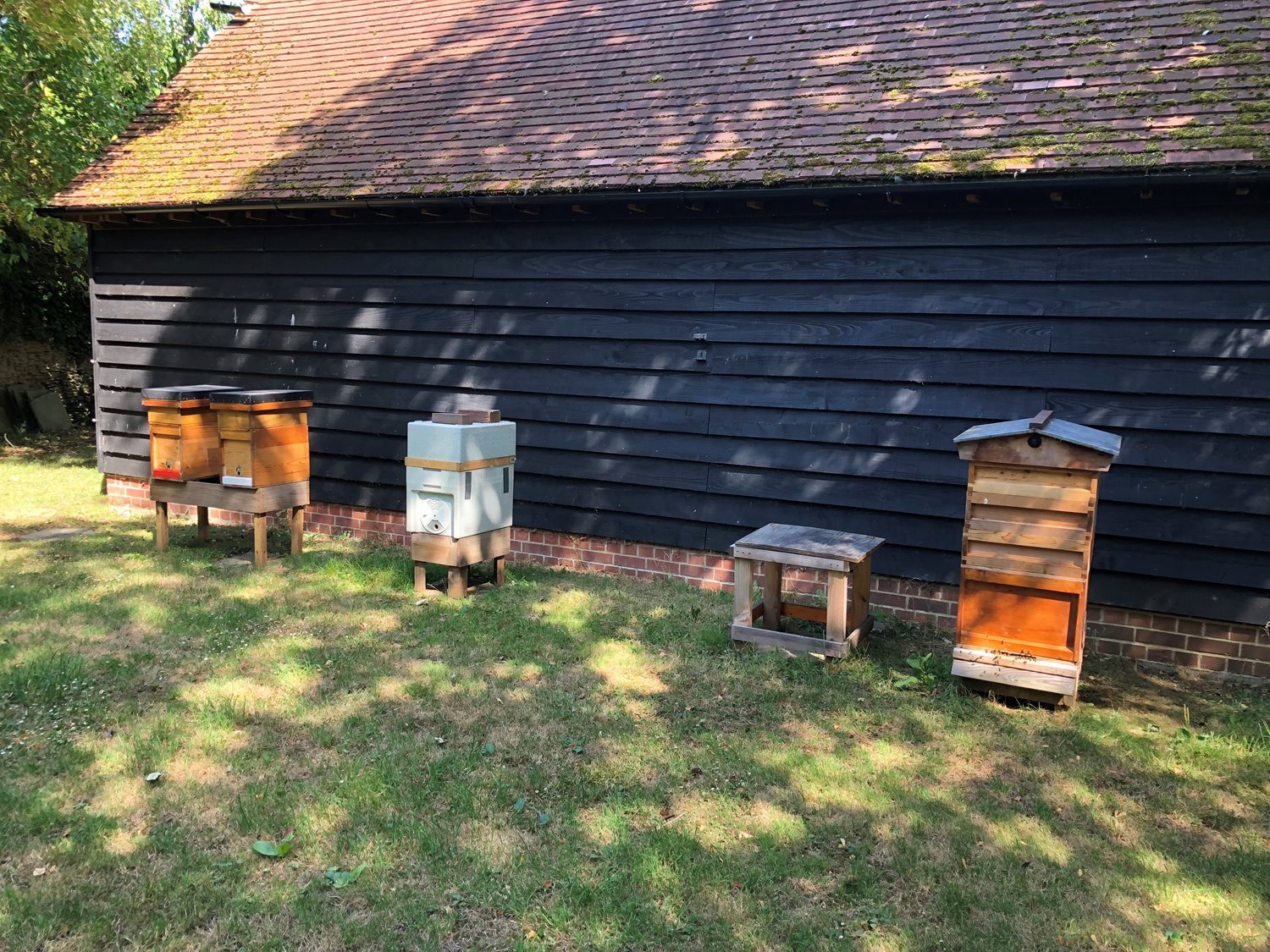 Bee Blog August 2022