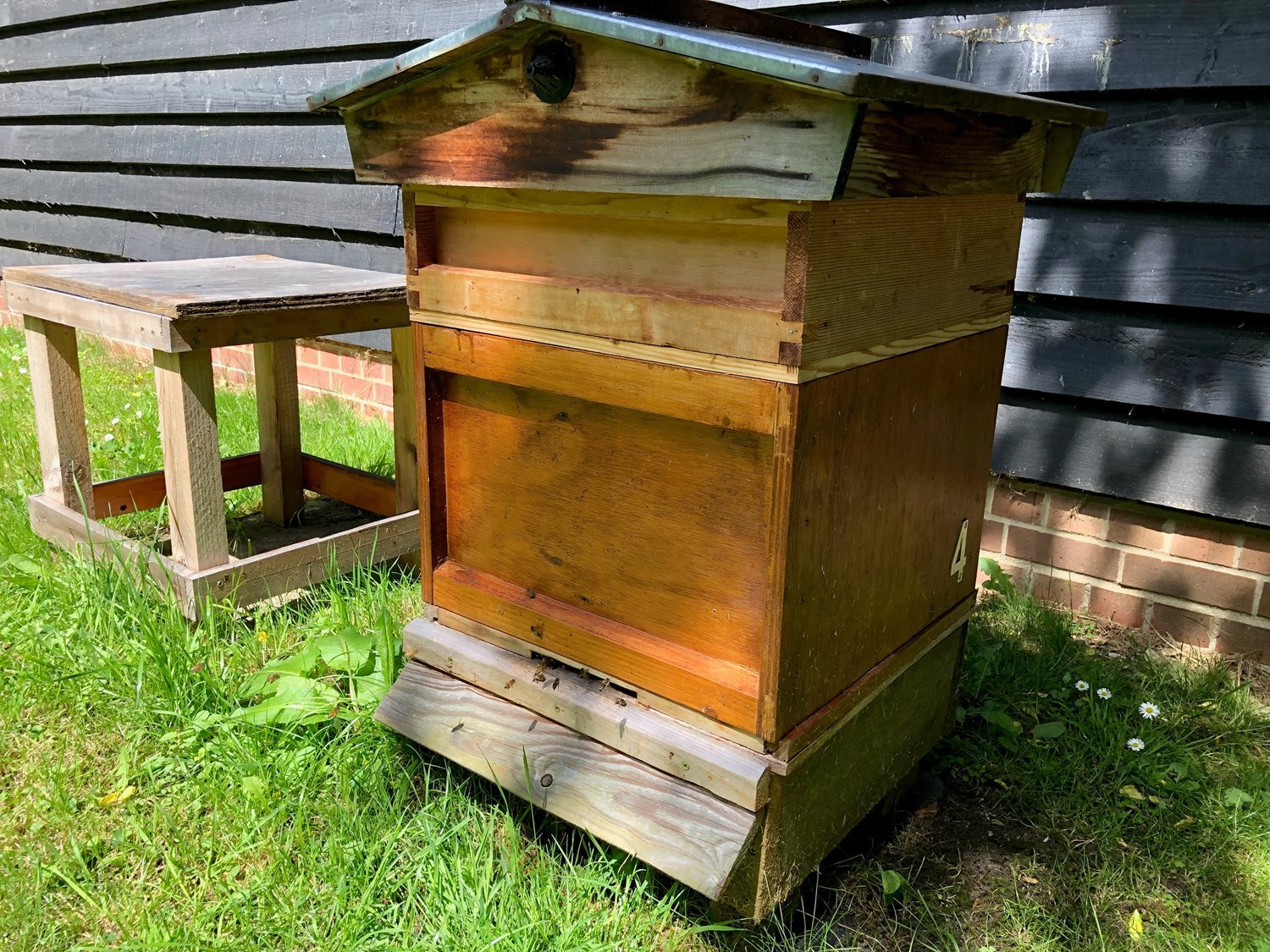 Bee Blog June 2022