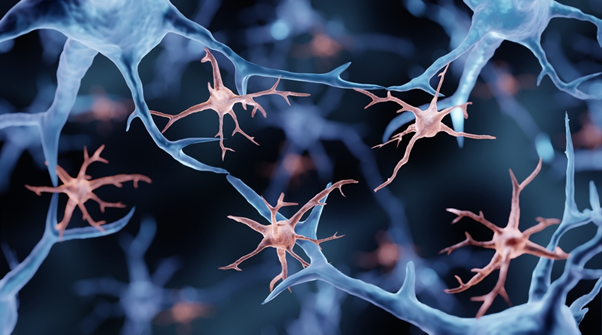 Visualising Protein Aggregation in Parkinson's Disease: Tools to Inspire Your Next Experiment