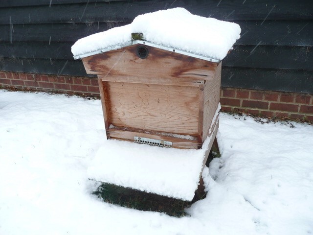 Bee Blog February 2018