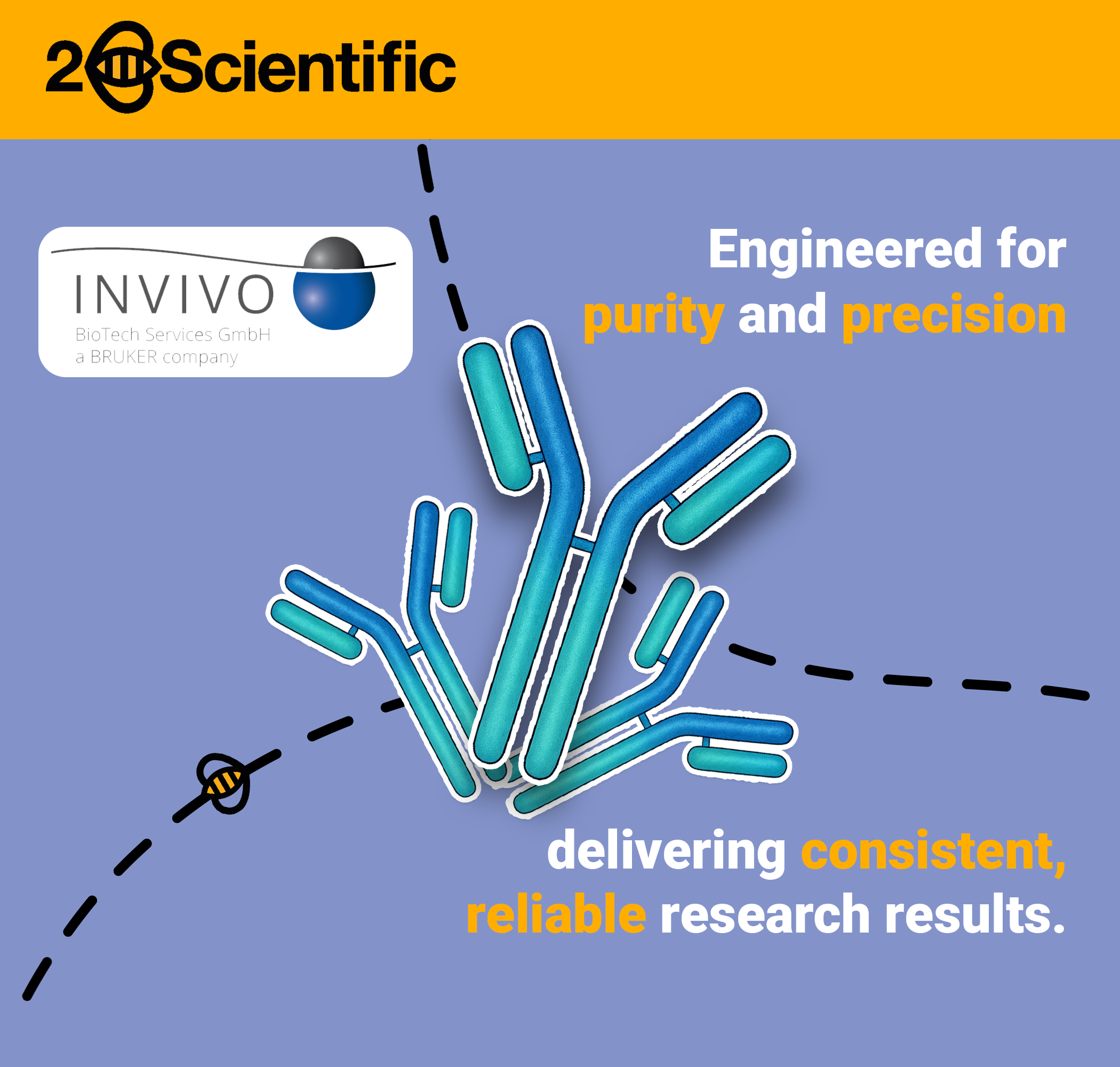 High-Purity Antibodies and Recombinant Proteins for Reliable In Vivo Research