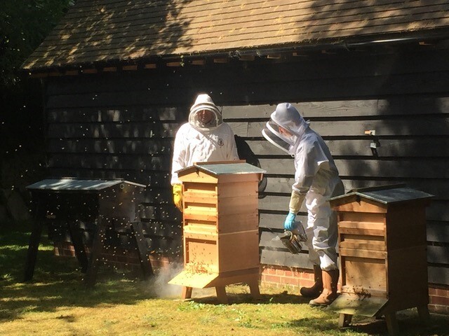 Bee Blog January 2018
