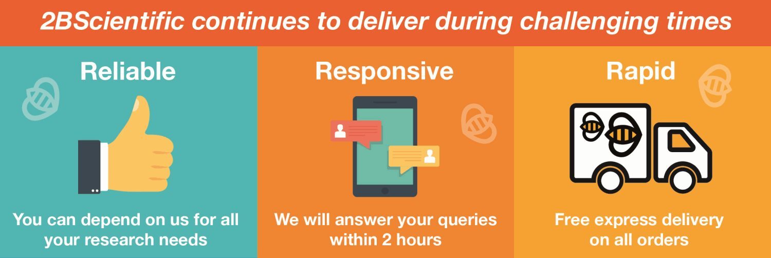 The Three R's - Reliable, Rapid, & Responsive