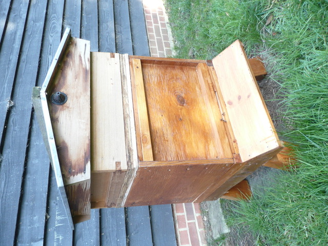 Bee Blog March 2019