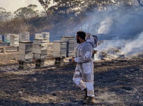 Bee Blog - March 2020