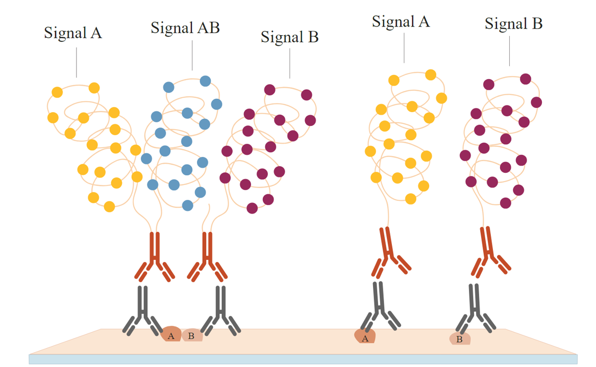 De-mystifying Proximity ligation assays