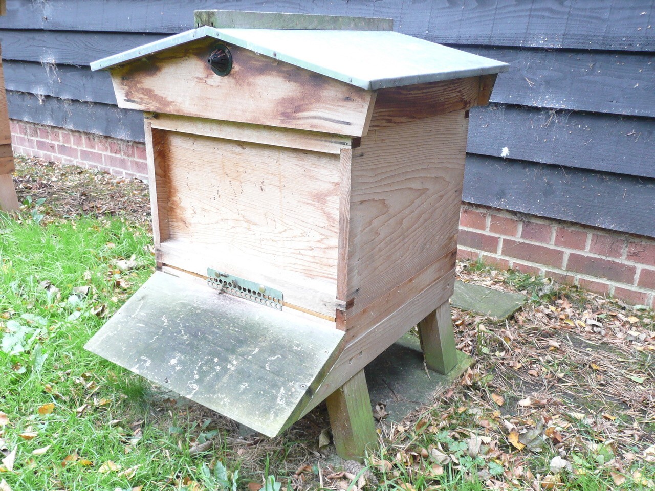 Bee Blog November 2017