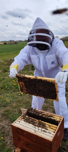 A Beekeeper’s Journey – Part 3: You Will Get Stung!