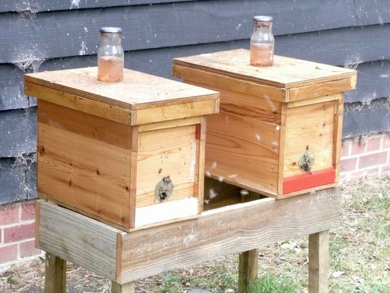 Bee Blog September 2018