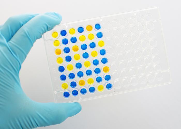 A Focus on Proteins, Antibodies and ELISA’s – (Cusabio)