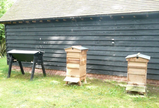 Bee Blog June 2017