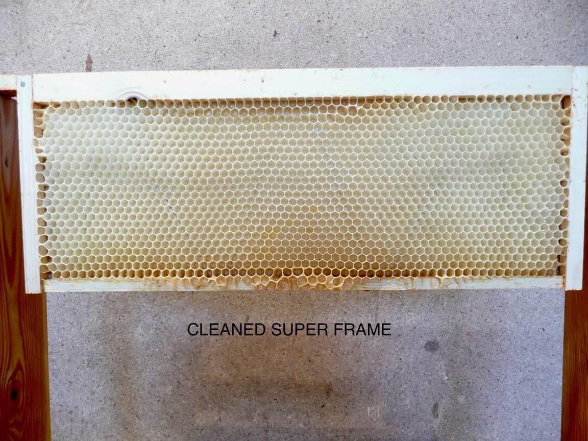 Bee Blog October 2019