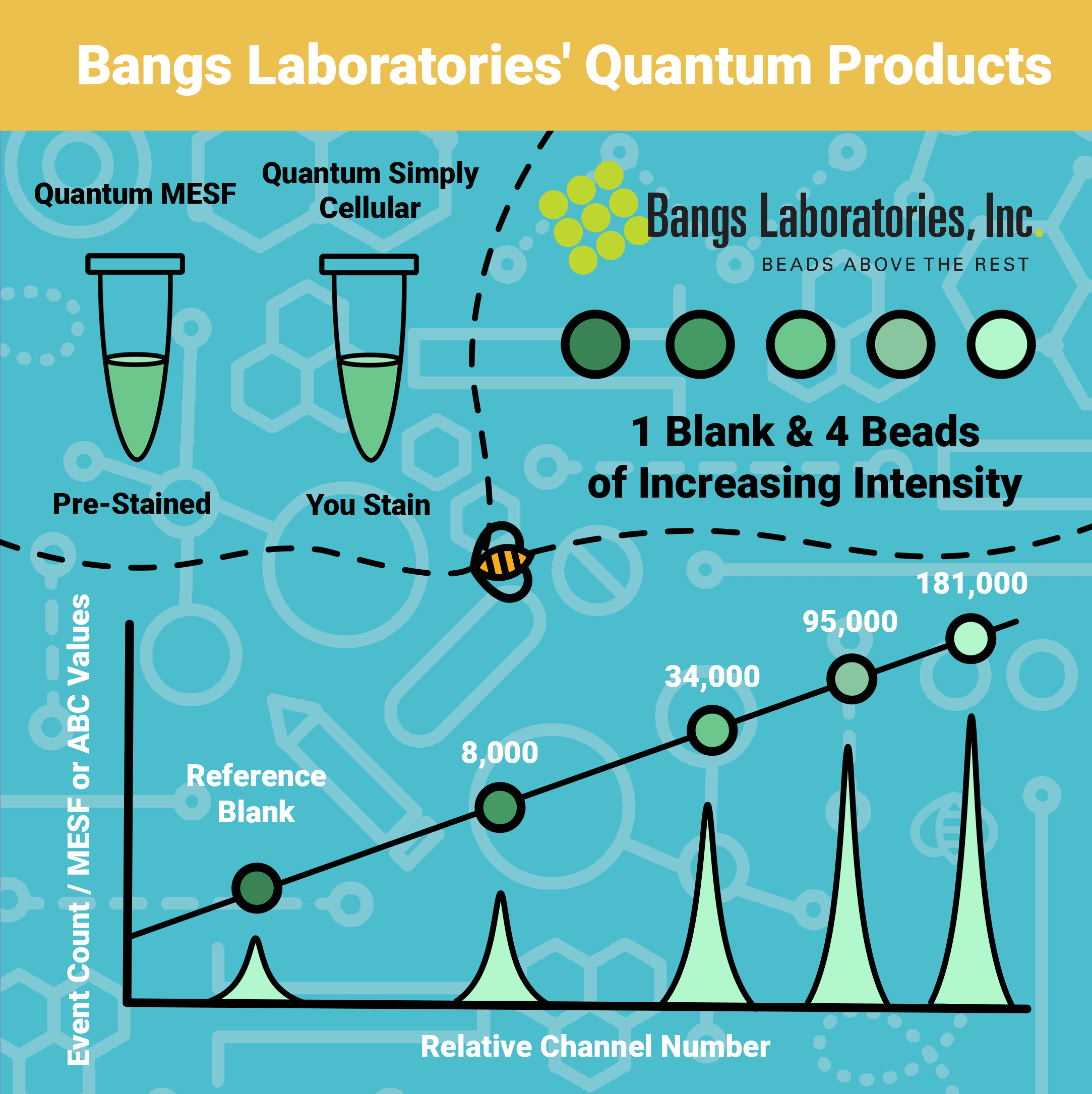 Quantum MESF und Simply Cellular
