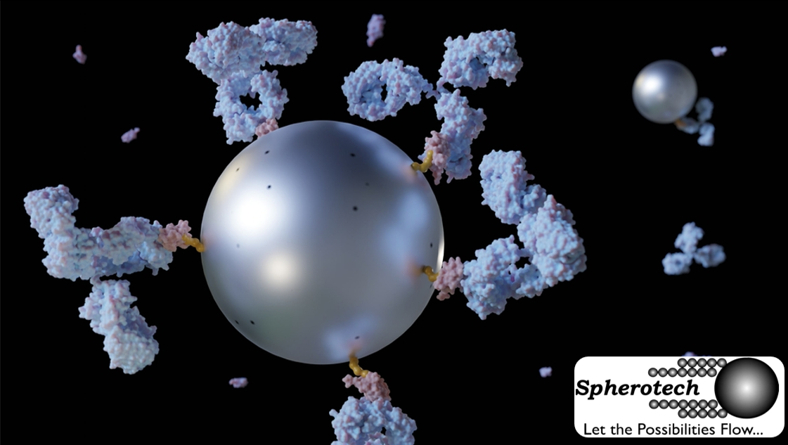 Spherotech nanoparticles